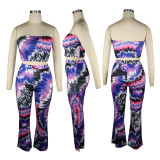 SC Sexy Printed Tube Top And Pants Two Piece Sets TE-4307