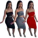 SC Sexy Solid Tube Top And Skirt Two Piece Sets TE-4301