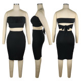 SC Sexy Solid Tube Top And Skirt Two Piece Sets TE-4301