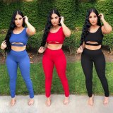 SC Solid Tank Top And Pants Two Piece Sets ZDF-31108