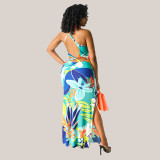 SC Floral Printed Sleeveless Backless Split Maxi Dress HNIF-HN025