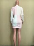 SC Casual Long Sleeve O Neck Mini Dress ORY-5212