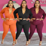 SC Plus Size Solid Shirt Top And Pants Two Piece Sets BGN-210