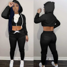 Solid Sports Hooded Zipper Two Piece Pants Set ME-Y973