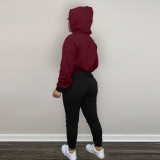 SC Casual Patchwork Fleece Hoodie Pants 2 Piece Sets SHA-86284