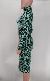 SC Leopard Print Long Sleeve Bodycon Dress XMY-9340