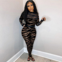 SC Sexy Mesh See Through Long Sleeve Jumpsuit SH-390247