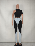 SC Sexy Short Sleeve Mesh Patchwork Pants 2 Piece Sets GEYF-68547
