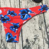 SC Floral Print Ruffled Bikini 2 Piece Sets CASF-8743