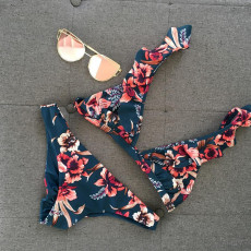 SC Floral Print Ruffled Bikini 2 Piece Sets CASF-8743