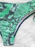 SC Snake Skin Print Underwire Bikini Two Piece Sets CASF-6242