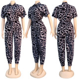SC Leopard Print Short Sleeve Sashes Jumpsuit NY-8893
