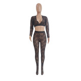 SC Sexy Lace Crop Top And Pants 2 Piece Sets GCNF-0092