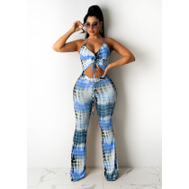 SC Sexy Print Sleeveless Top And Pants Two Piece Sets GDYF-6985