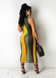 SC Sheer Sexy Mesh Striped Print Sleeveless Midi Dress GDYF-6994