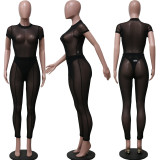 SC Sexy Mesh See Through Bodysuit+High Waist Pants 2 Piece Sets YS-S806