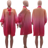 SC Plus Size Chiffon Gradient Long Sleeve Loose Mini Dress HM-6611