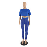 SC Sexy Cropped T Shirt+Mesh Pants 2 Piece Sets (Without Briefs) XHAF-10023