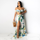 SC Sexy Printed Cropped Top Long Skirts Two Piece Sets SFY-2161