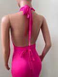 SC Sexy Halter Backless Hollow Out Bandage Mini Dress NIK-302
