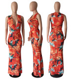 SC Floral Print Sleeveless V Neck Maxi Dress BYMF-60886