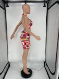 SC Printed Sexy Halter Top And Skirt Two Piece Set XYKF-9027