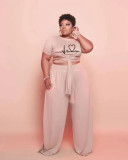 SC Plus Size Casual Short Sleeve Two Piece Pants Sets WAF-723380