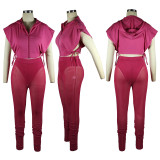 SC Sexy Hooded Top+Mesh Pants Two Piece Sets TE-4412