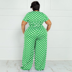SC Plus Size Polka Dot Print Two Piece Pants Sets OSIF-22293