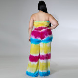 SC Plus Size Tie Dye Print Tube Top And Pants 2 Piece Sets NNWF-7468