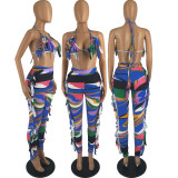 SC Sexy Printed Halter Bra And Pants 2 Piece Sets FOSF-8229