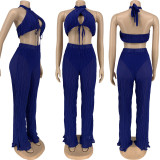 SC Sexy Halter Crop Top And Pants Two Piece Sets FNN-8675