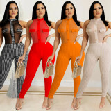 SC Houndstooth Print Mesh Bodysuit+Pants 2 Piece Sets BY-5713