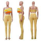 SC Sexy Feather Two Piece Pants Sets YF-10179
