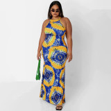 SC Plus Size Printed Sleeveless Maxi Dress OSIF-22410