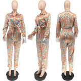 SC Casual Printed Shirt And Pants Two Piece Sets WSYF-5938