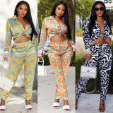 SC Casual Printed Shirt And Pants Two Piece Sets WSYF-5938