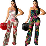 SC Sexy Mesh Printed Strapless Off Shoulder Jumpsuit WY-6782
