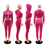 SC Solid Hooded Crop Top And Pants 2 Piece Sets DDF-8024