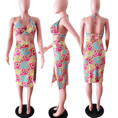 SC Sexy Printed Bra Top Split Skirt 2 Piece Sets YD-8007