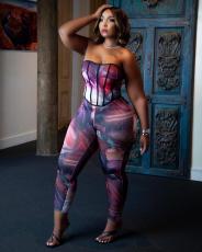 SC Plus Size Printed Tube Top And Pants 2 Piece Sets ME-6117