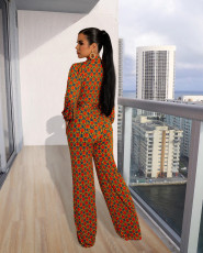 SC Sexy Printed V Neck Long Sleeve Jumpsuit MXDF-6113