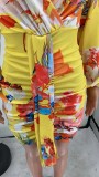 SC Floral Print V Neck Long Sleeve High Waist Dress YH-5275