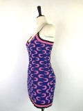 SC Fashion Sexy Print Knit Sling Dress GWDS-220426