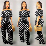 Plus Size Polka Dot Print Slash Neck 2 Piece Pants Sets PIN-8697