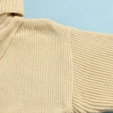 SC Solid High Collar Sweater Slit Dress NY-082