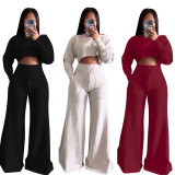 SC Solid Color Long Sleeve Crop Tops And Loose Pant 2 Piece Set OLYF-6111