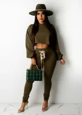 SC Plus Size Casual Long Sleeve Hooded Tops And Pant Two Piece Set OM-1512