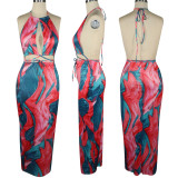 SC Fashion Print Halter Backless Maxi Dress TE-4531