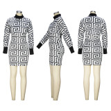 SC Fashion Print Sleeveless Dress And Short Tops 2 Piece Set XHSY-19539